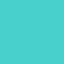 /images/chips/png/MediumTurquoise.png