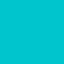 /images/chips/png/turquoise3.png