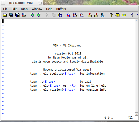 gvim running on Haiku